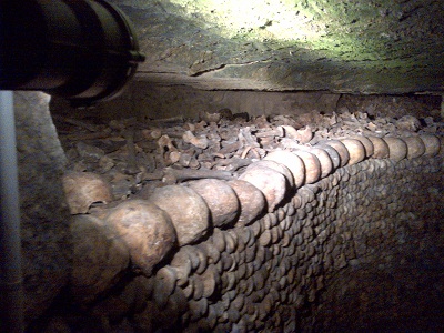 Rows and Rows of Bones and Skulls