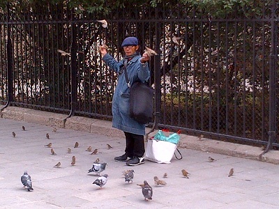 Man Feeding Sparrow