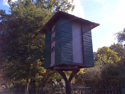 Pigeon Cotes of Paris