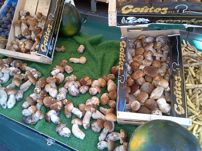 Mushrooms in the Market